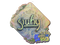 Sticker | siuhy (Holo) | Rio 2022