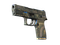 P250 | Обменник (После полевых испытаний)