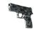 P250 | Ржавая сталь (После полевых испытаний)