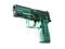 P250 | Рентген (После полевых испытаний)