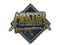 Patch | Metal Master Guardian
