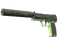 USP-S | Para Green (Well-Worn)