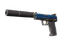 USP-S | Royal Guard (Well-Worn)