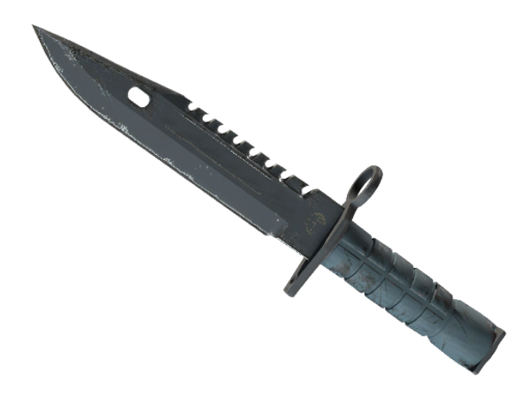 ★ M9 Bayonet | Night (Field-Tested)