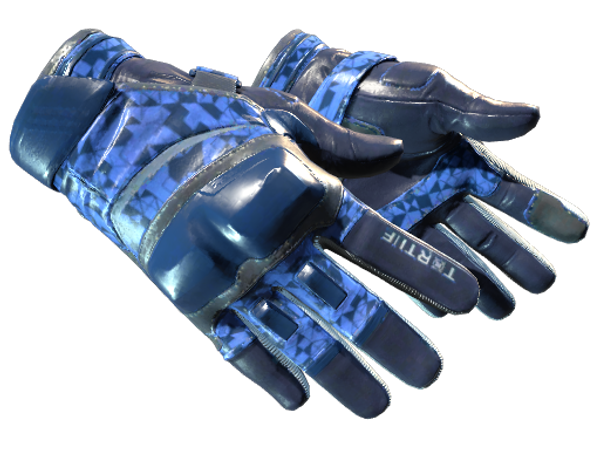 ★ Moto Gloves | Polygon (Factory New)