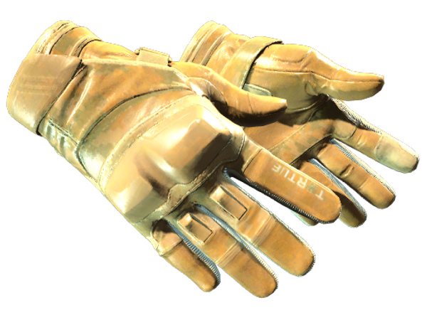 ★ Moto Gloves | Transport (Factory New)