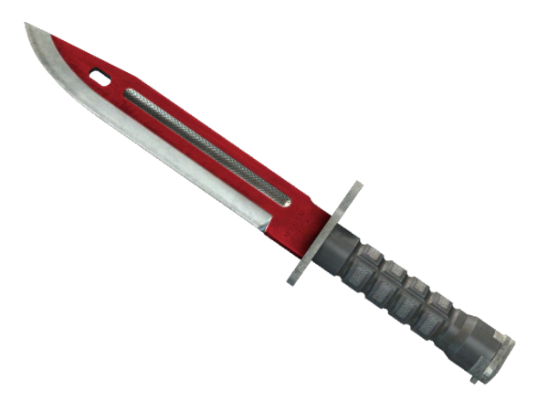 ★ Bayonet | Autotronic (Well-Worn)