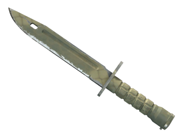 ★ Bayonet | Safari Mesh (Well-Worn)