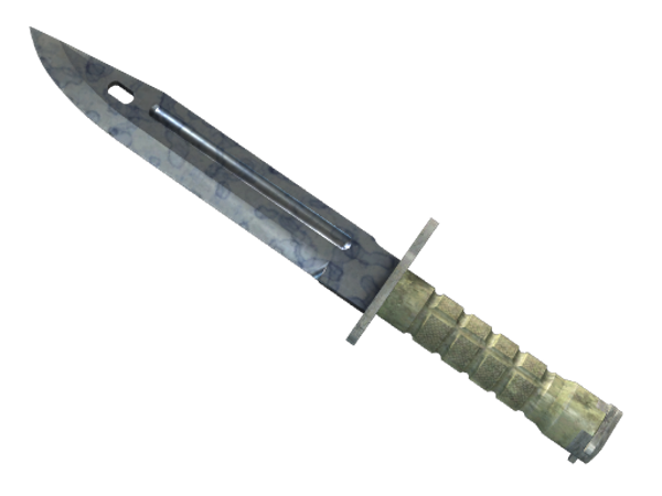 ★ Bayonet | Stained (Factory New)