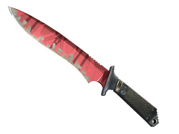 ★ Classic Knife | Slaughter (Field-Tested)