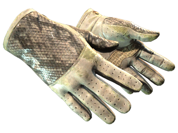 ★ Driver Gloves | King Snake (Battle-Scarred)