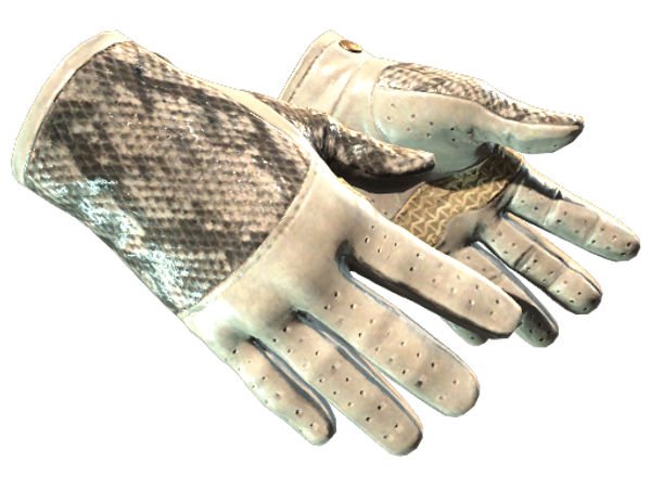 ★ Driver Gloves | King Snake (Factory New)