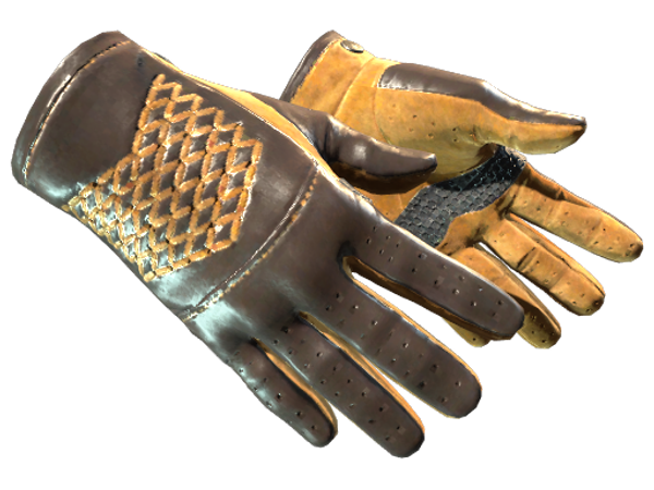 ★ Driver Gloves | Overtake (Factory New)