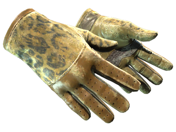 ★ Driver Gloves | Queen Jaguar (Battle-Scarred)