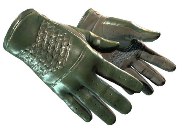 ★ Driver Gloves | Racing Green (Minimal Wear)