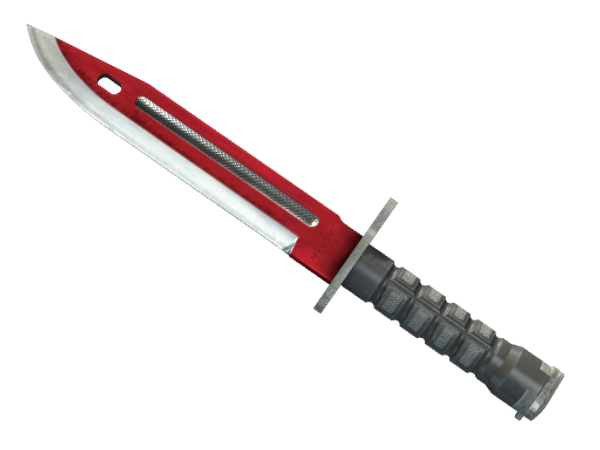 ★ StatTrak™ Bayonet | Autotronic (Factory New)