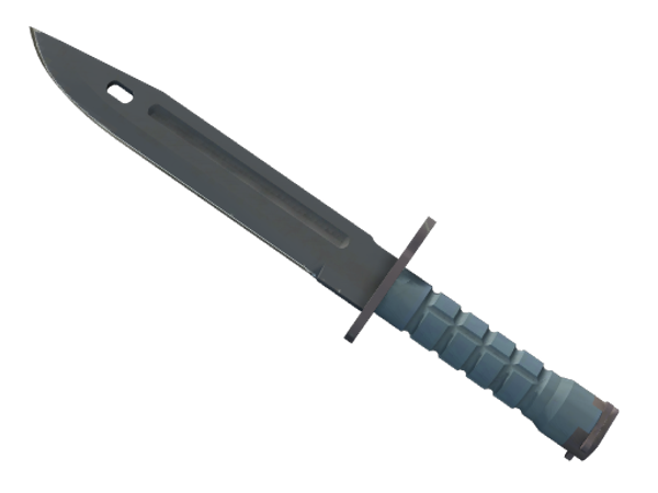 ★ StatTrak™ Bayonet | Night (Factory New)