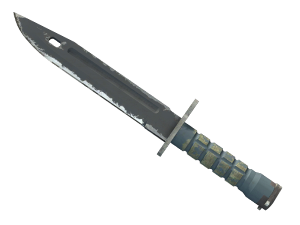 ★ StatTrak™ Bayonet | Night (Well-Worn)