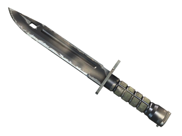 ★ StatTrak™ Bayonet | Scorched (Well-Worn)