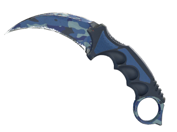 ★ StatTrak™ Karambit | Bright Water (Well-Worn)