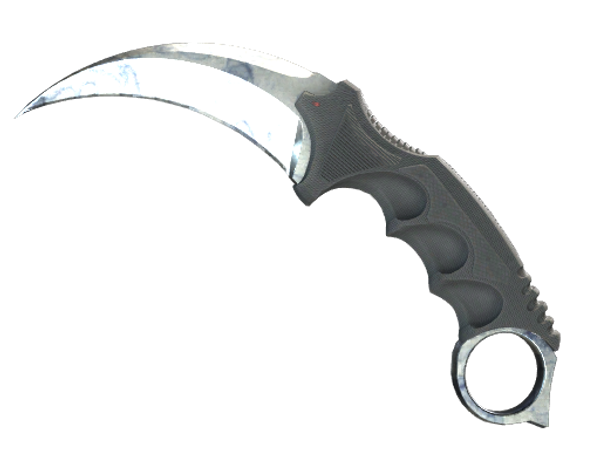 ★ StatTrak™ Karambit | Stained (Well-Worn)