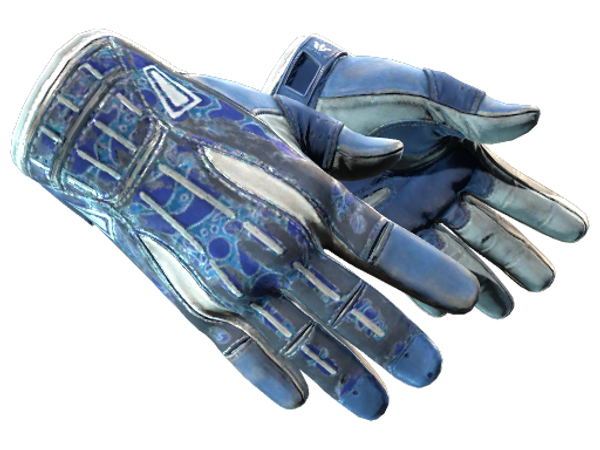 ★ Sport Gloves | Amphibious (Battle-Scarred)