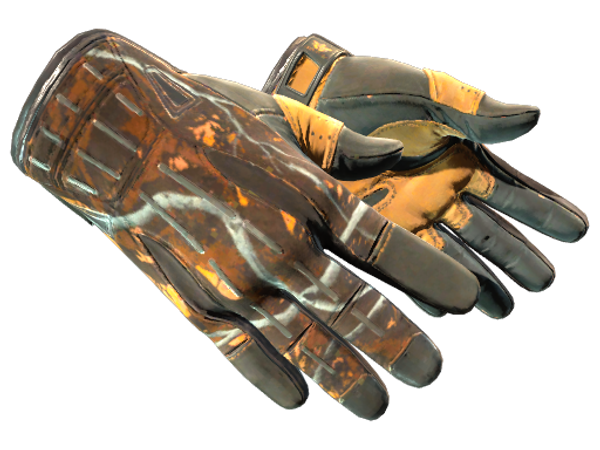 ★ Sport Gloves | Big Game (Minimal Wear)