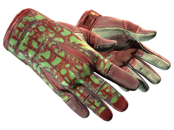 ★ Sport Gloves | Bronze Morph (Well-Worn)
