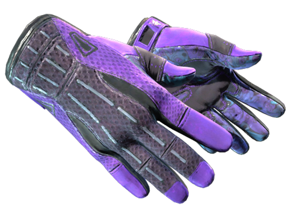 ★ Спортивные перчатки | Ящик Пандоры (Немного поношенное)