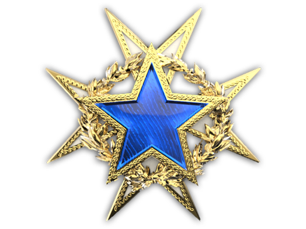 2015 Service Medal