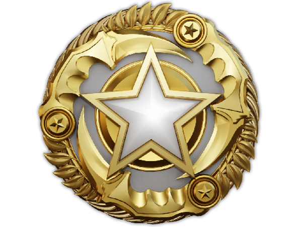 Медаль за службу в 2025 году