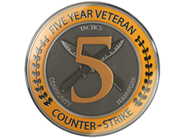 5 Year Veteran Coin