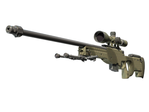 AWP | Африканская сетка (Немного поношенное)