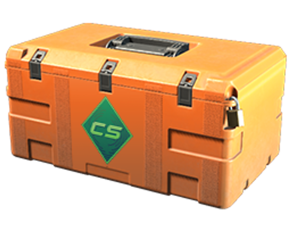 Gallery Case