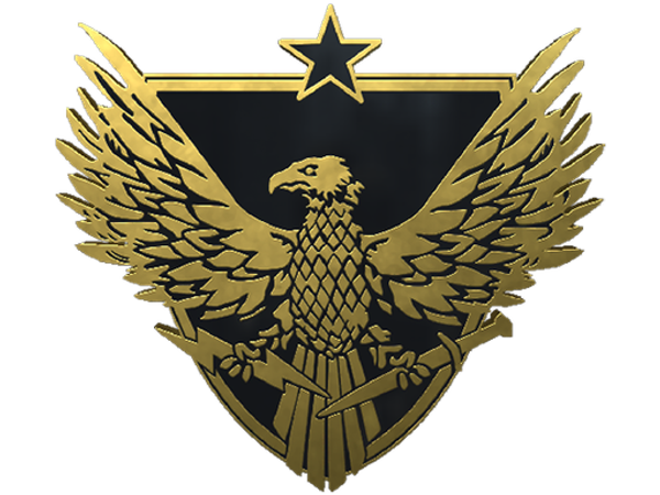 Genuine Brigadier General Pin