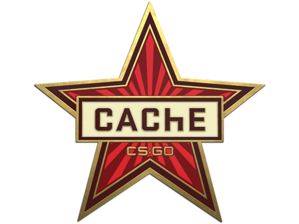 Genuine Cache Pin