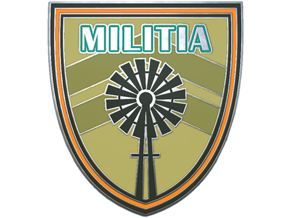 Genuine Militia Pin