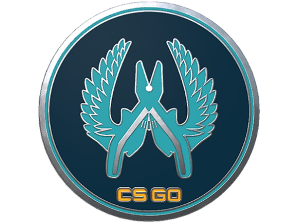 Guardian Pin