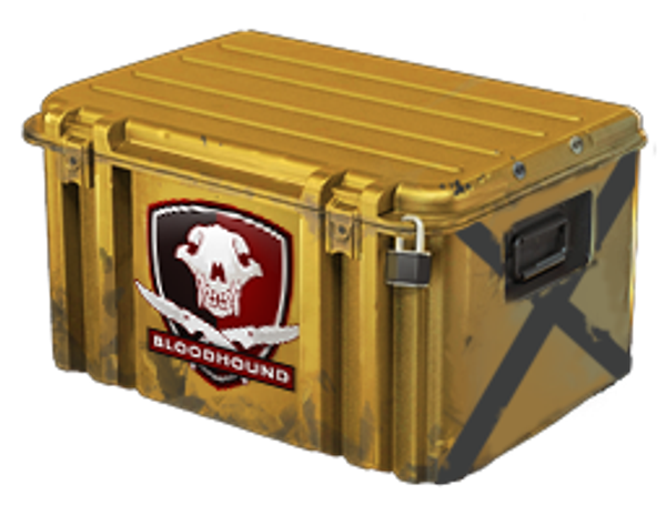Falchion Case