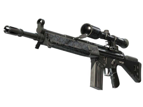 G3SG1 | Murky (Field-Tested)