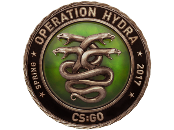 Operation Hydra Challenge Coin