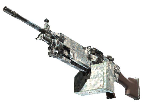 M249 | Blizzard Marbleized (Well-Worn)