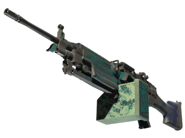 M249 | Приморский прогноз (Закалённое в боях)