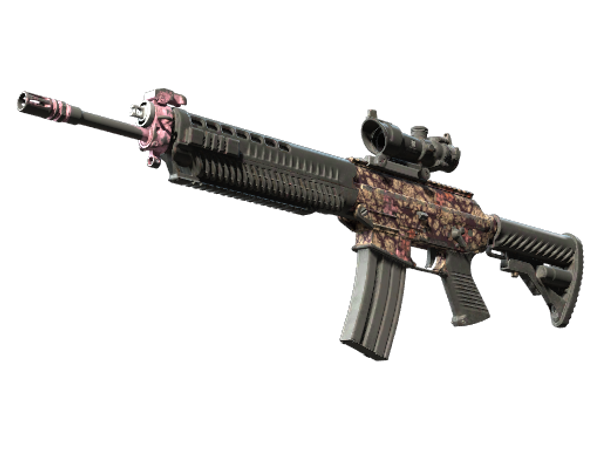 SG 553 | Пустынное цветение (Закалённое в боях)