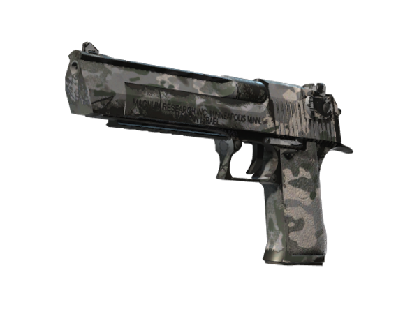 Souvenir Desert Eagle | Urban Rubble (Field-Tested)