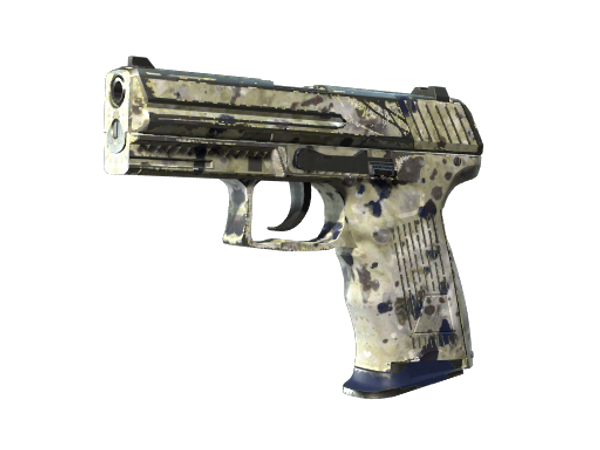 Souvenir P2000 | Granite Marbleized (Well-Worn)