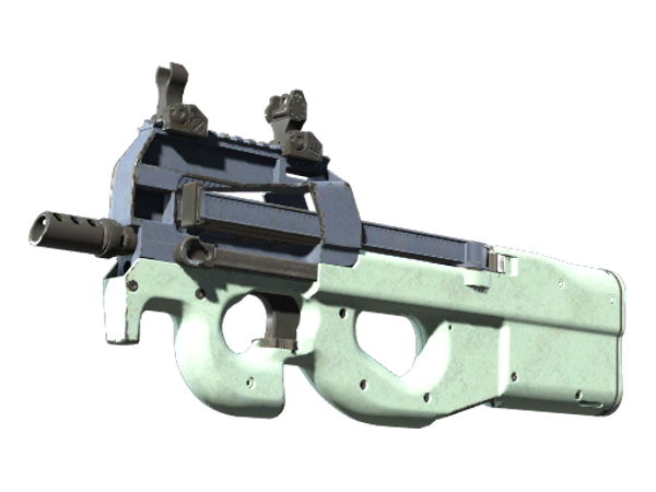 Souvenir P90 | Storm (Well-Worn)