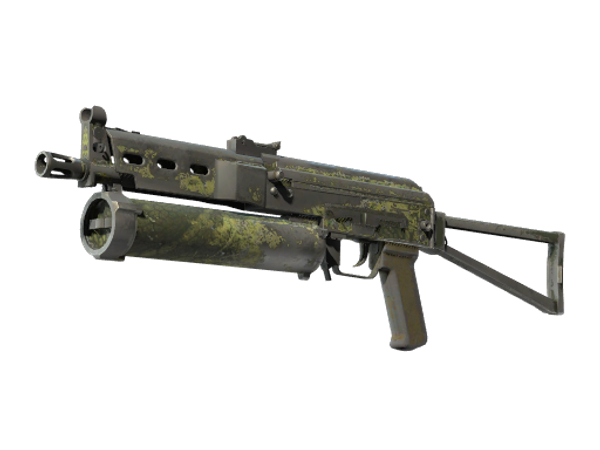 Souvenir PP-Bizon | Anolis (Battle-Scarred)