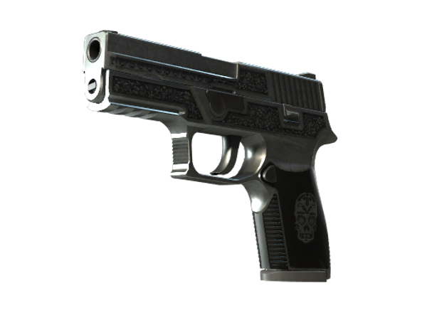 StatTrak™ P250 | Картель (После полевых испытаний)