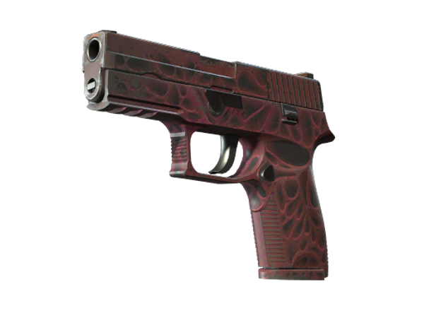 StatTrak™ P250 | Загрязнитель (Поношенное)